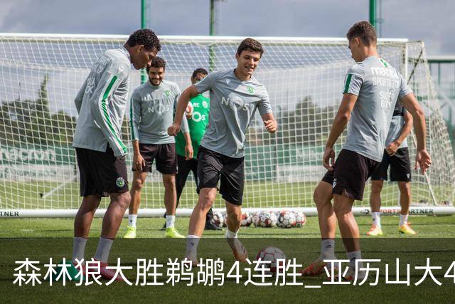 森林狼大胜鹈鹕4连胜 亚历山大43分雷霆克骑士